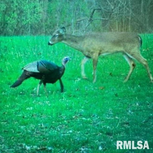 TBD Pryortown Rd., Villa Ridge, IL 62996