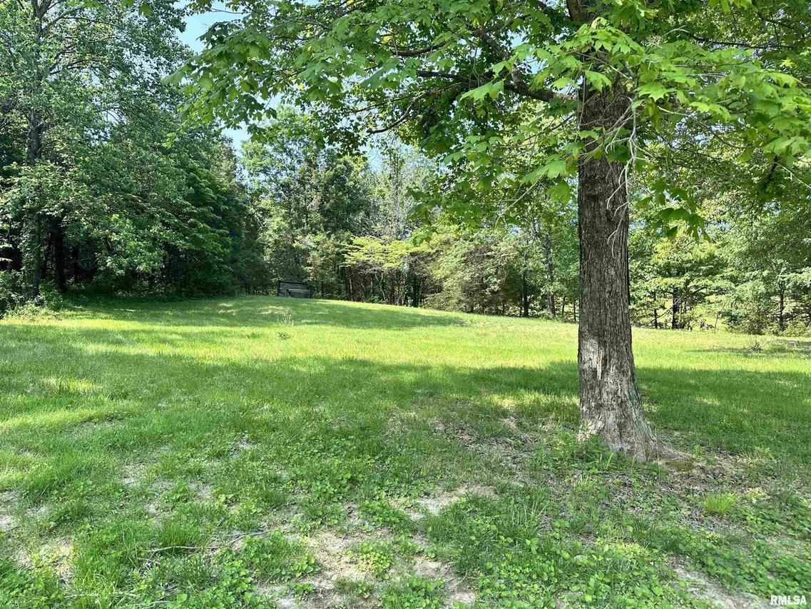 310 Blueberry Hill Rd., Cobden, IL 62920