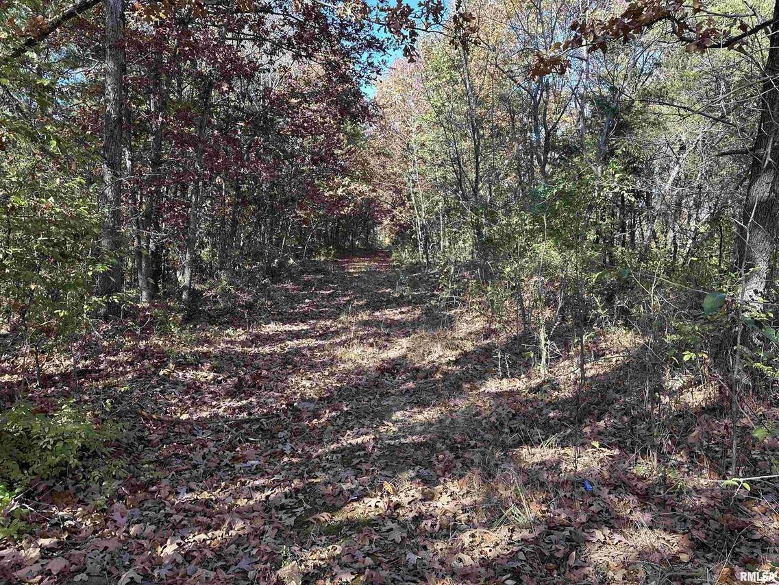 1424 Green Street Rd., Centralia, IL 62801