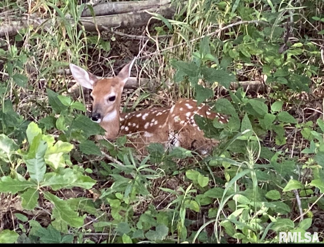 1700 Pickett Ln., Marion, IL 62959