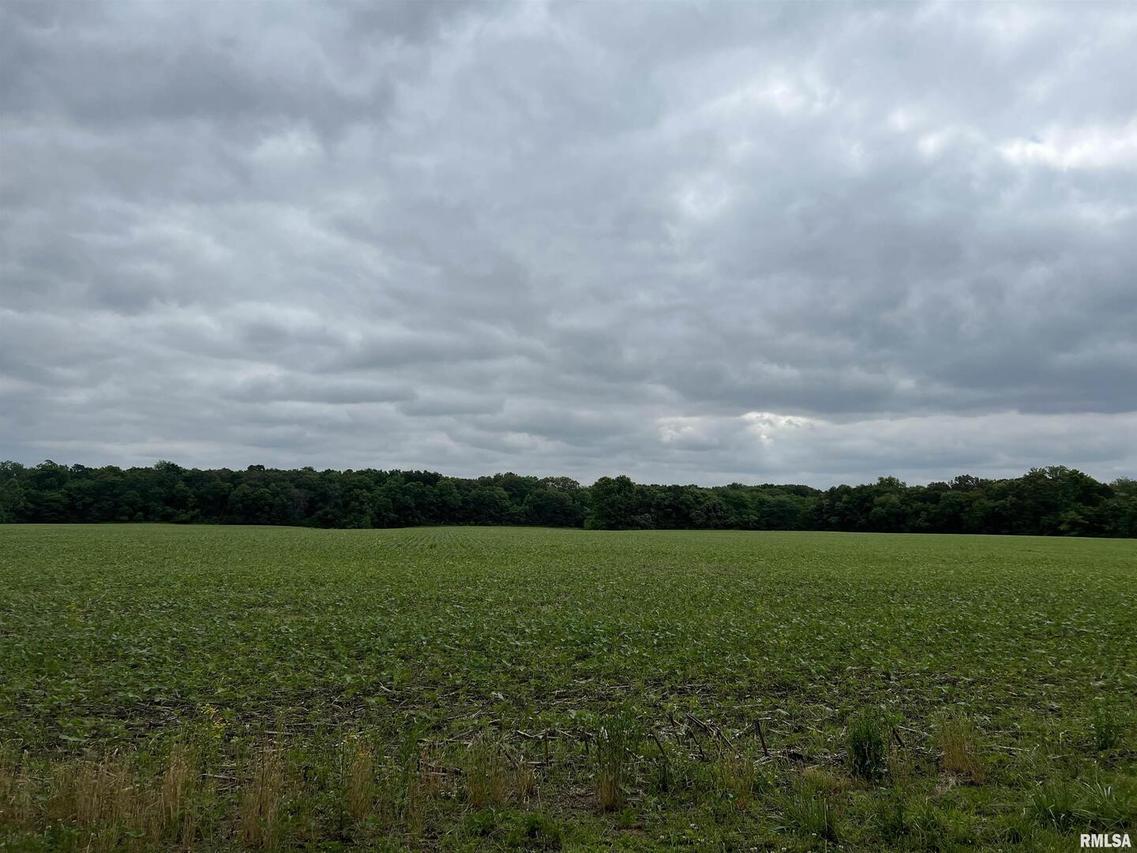 000 Forbes Rd., Kinmundy, IL 62854