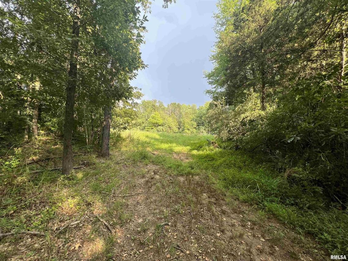 14160 Binkley Rd., Johnston City, IL 62951