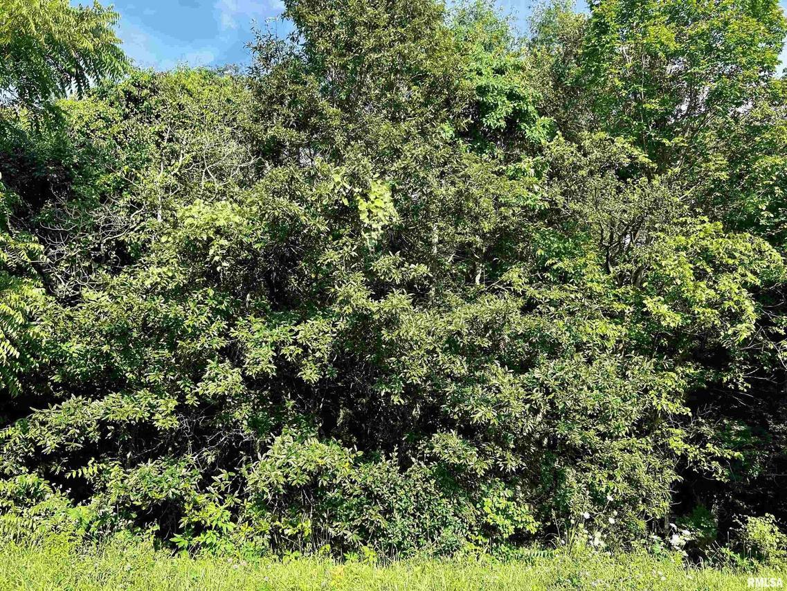 18094 Collins Rd., West Frankfort, IL 62896