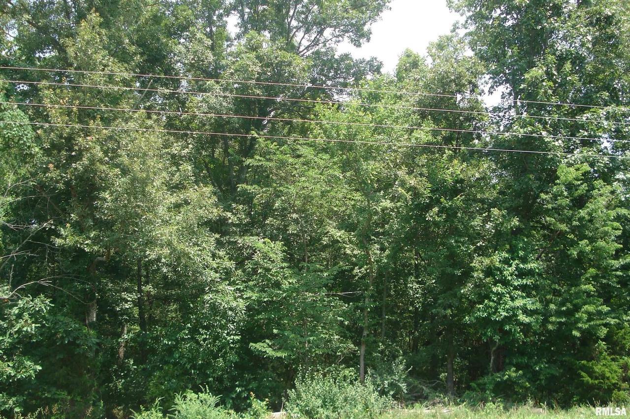 000 Corinth Rd., Pittsburg, IL 62974