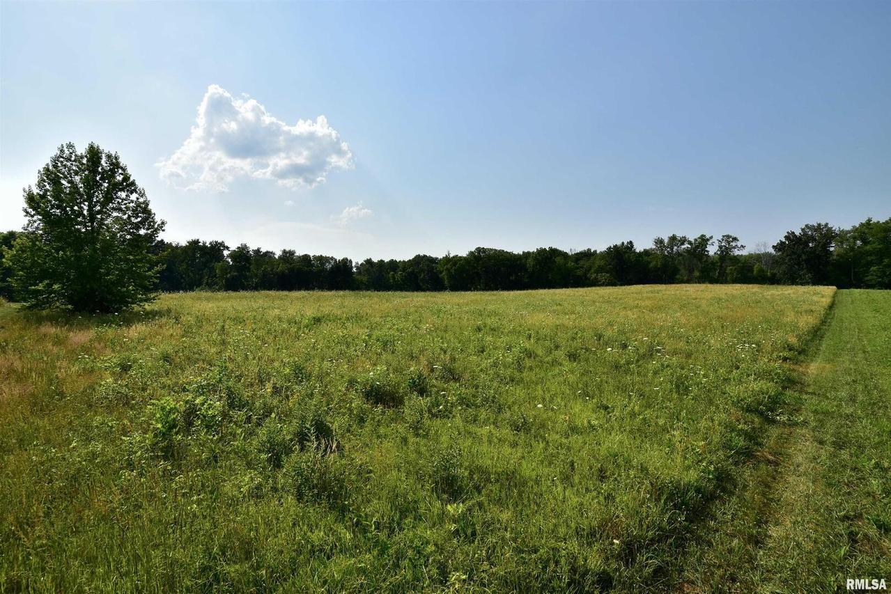 TBD Newport Rd., West Frankfort, IL 62896