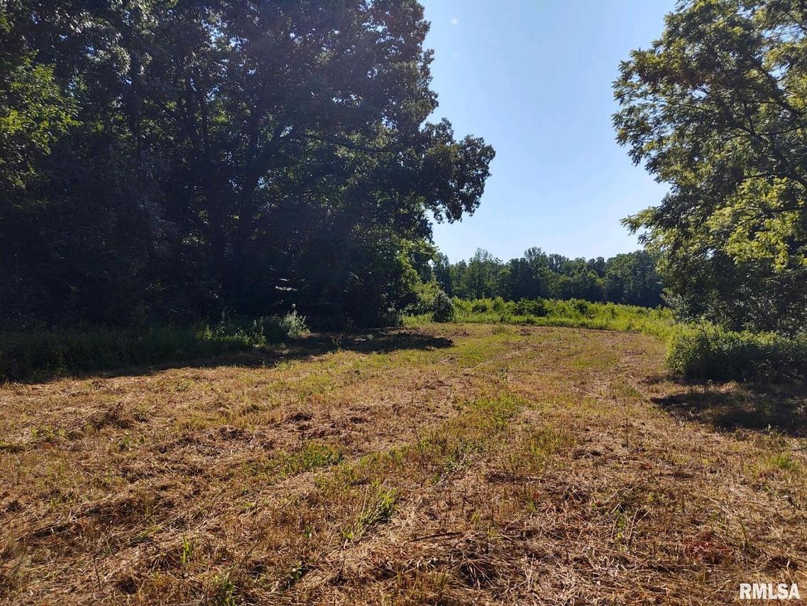 625 Pioneer Ln., Vienna, IL 62995