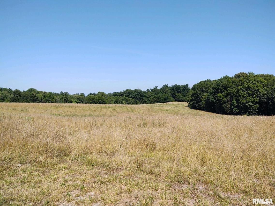 500 State Route 147 Hwy., Vienna, IL 62995