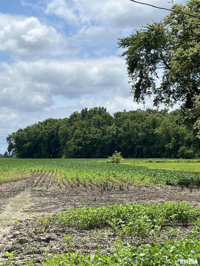 1700 Block Tonti Rd., Odin, IL 62870