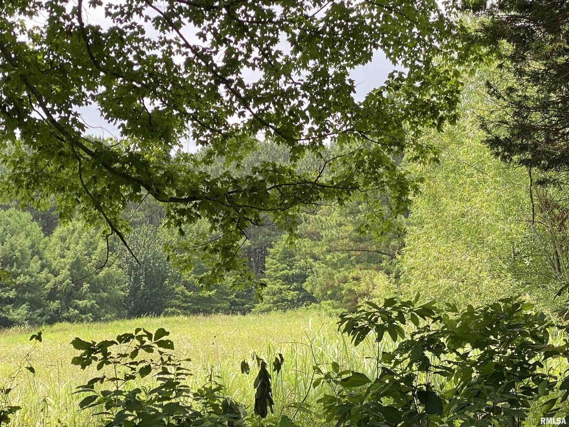 915. Sullivan Rd., Makanda, IL 61958