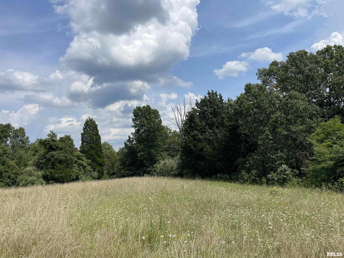 000 Gape Hollow Rd., Herod, IL 62947