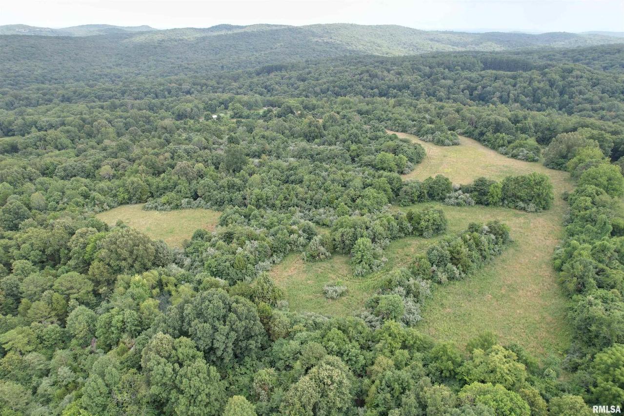 00 Gape Hollow Rd., Herod, IL 62947