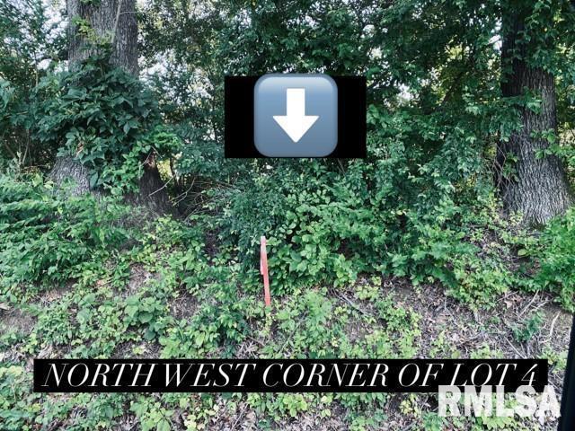 Lot 2 Falcon Rd., Carbondale, IL 62901