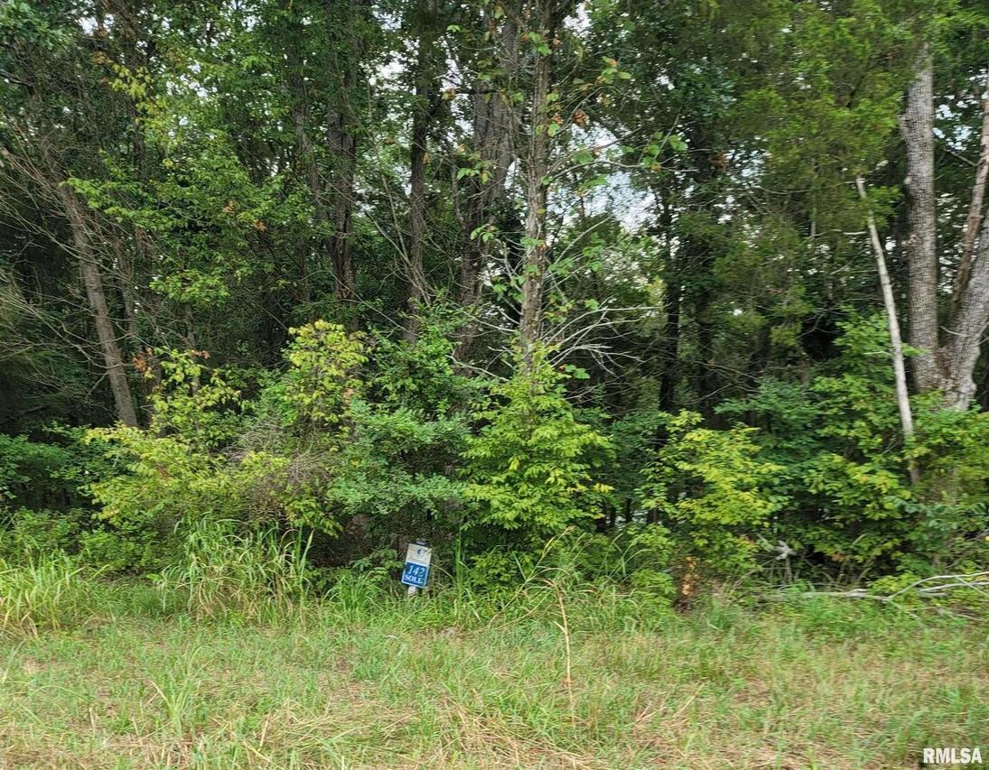 Lot 142 & 143 Cherry Point, Goreville, IL 62939