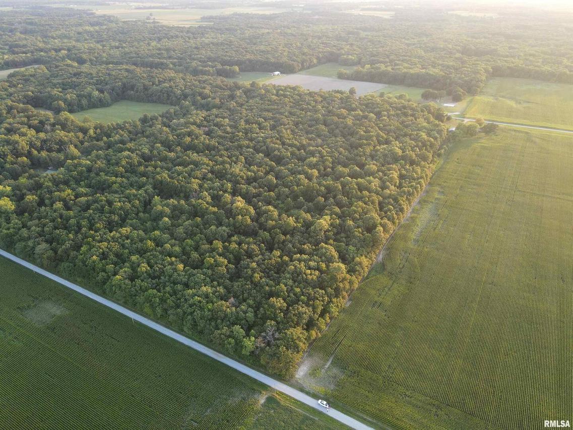 000 Aussieker Rd., Alma, IL 62807