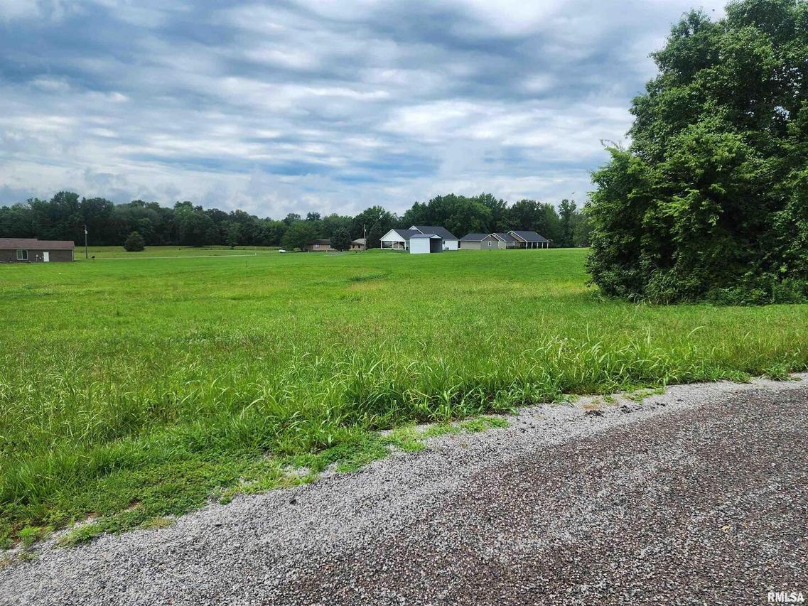 0000 Allyson Ln., Vienna, IL 62995