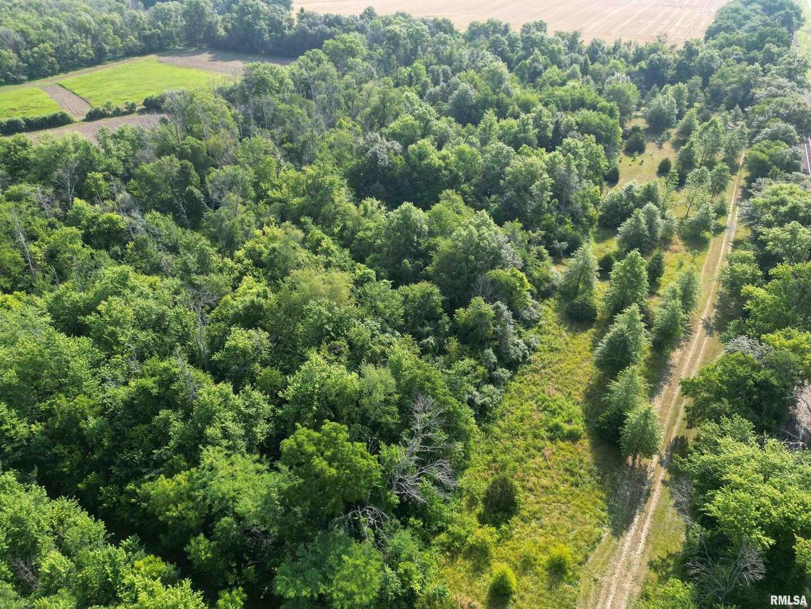 21065 State Route 161 Route, Centralia, IL 62801