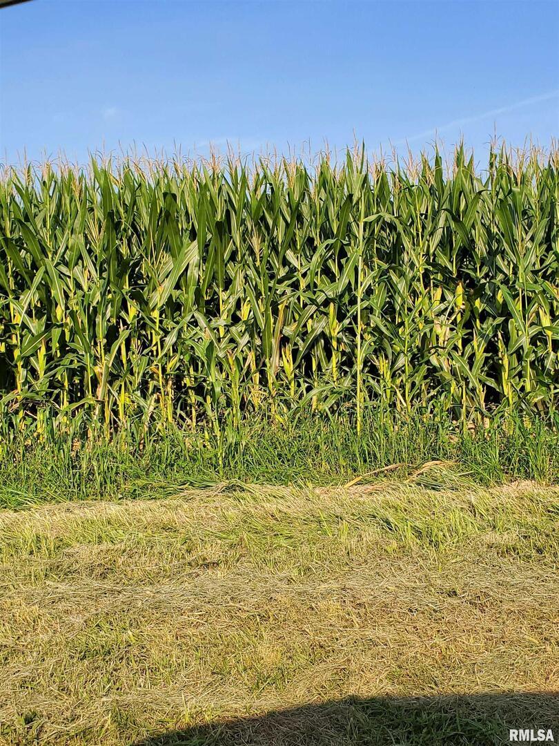 000 Mill St., Carrier Mills, IL 62917