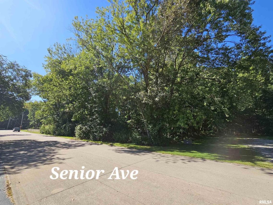 TBD Senior Ave., Vienna, IL 62995