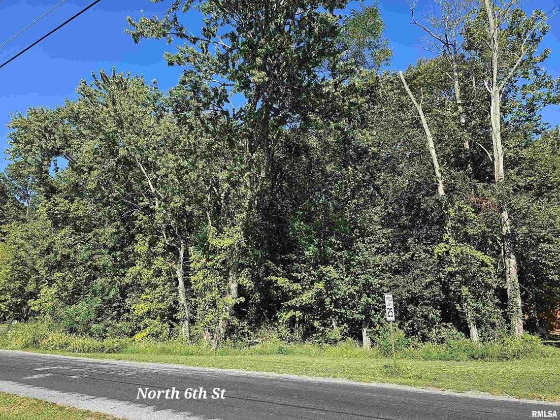 TBD N 6th St., Vienna, IL 62995