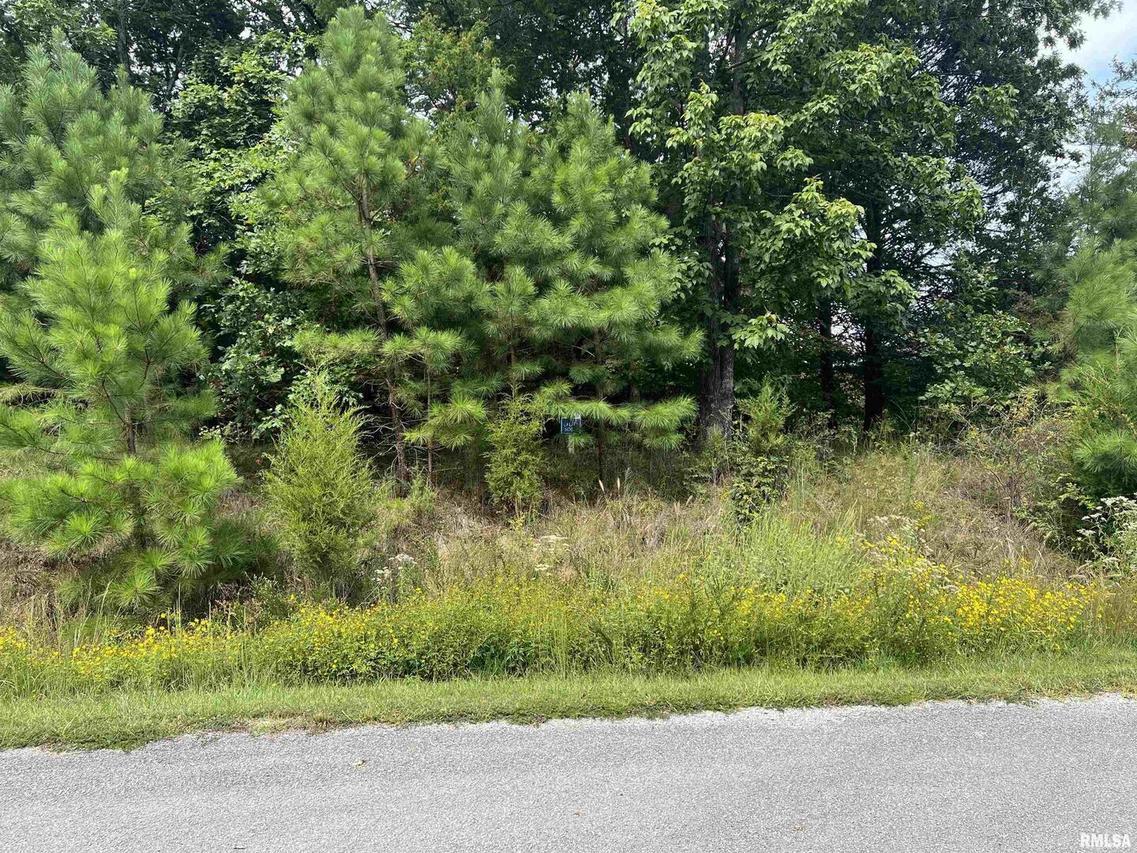 Lot 306 Pecan Point Ln., Goreville, IL 62939