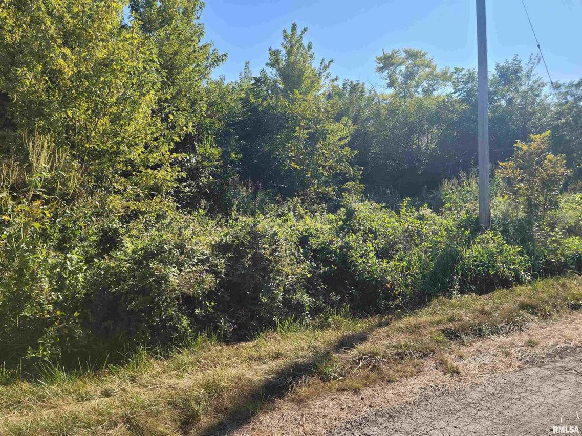 175 E Lang Ln., Bonnie, IL 62816