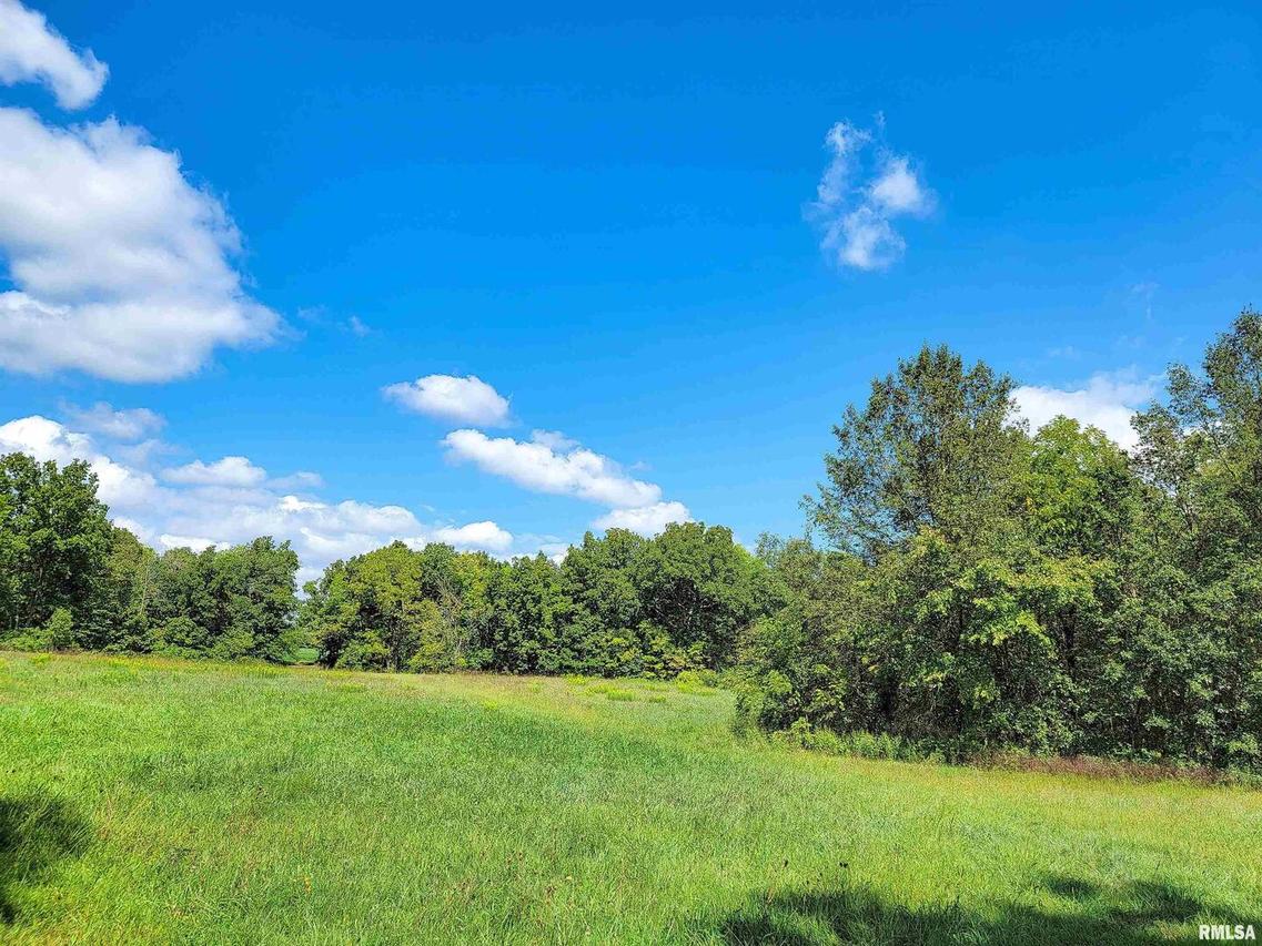 000 Bobwhite Rd., Louisville, IL 62858