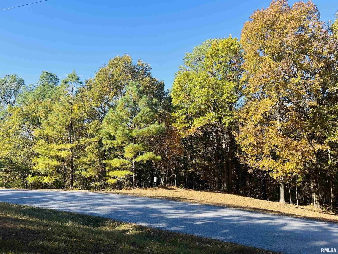 Lot 39 & 40 Luxor Landing Ln., Goreville, IL 62939