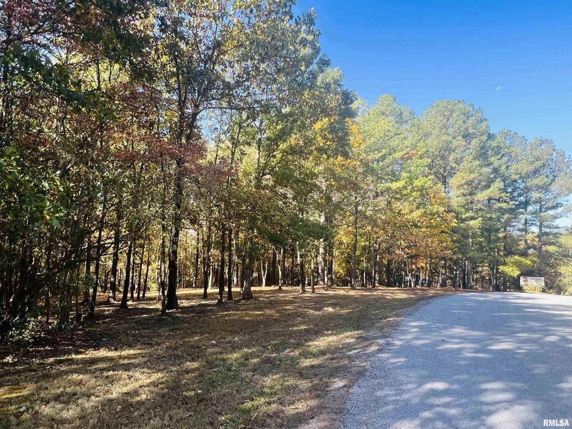 Lot 41 Luxor Landing Ln., Goreville, IL 62939