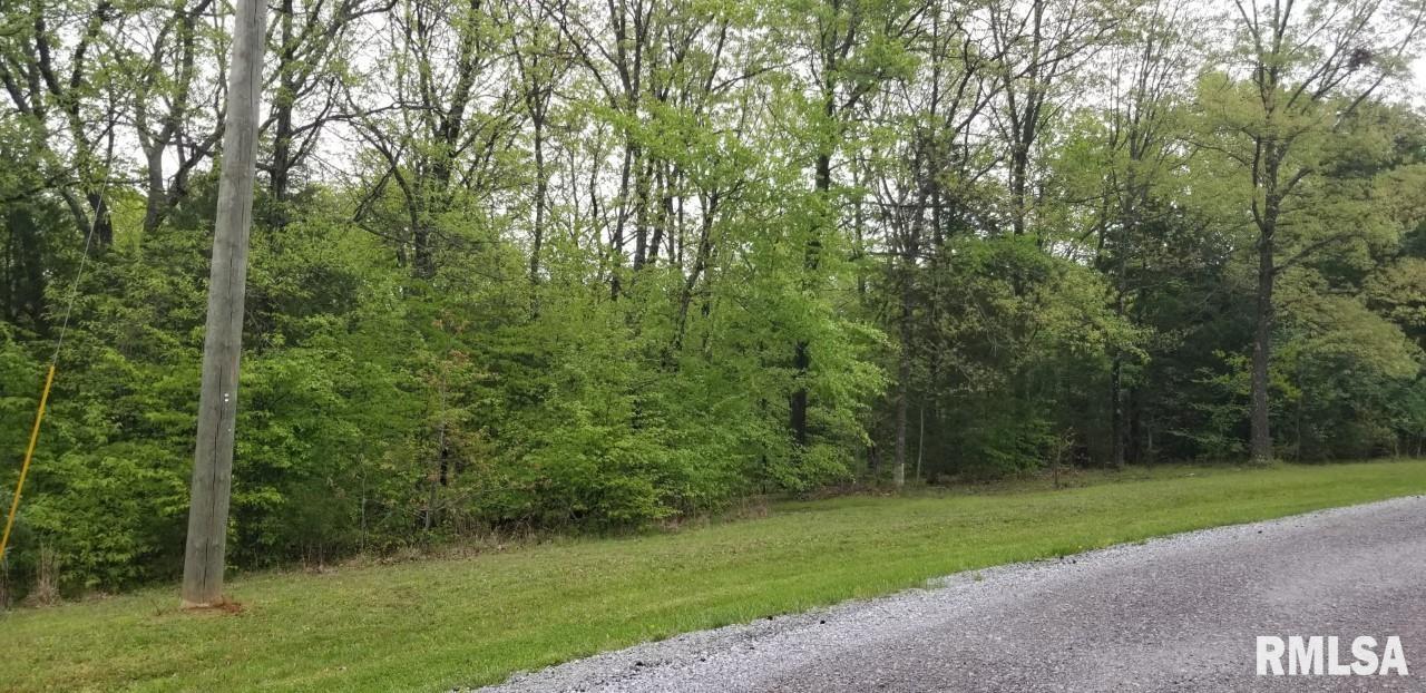 Lot 80 & 81 Saluki Way, Goreville, IL 62939