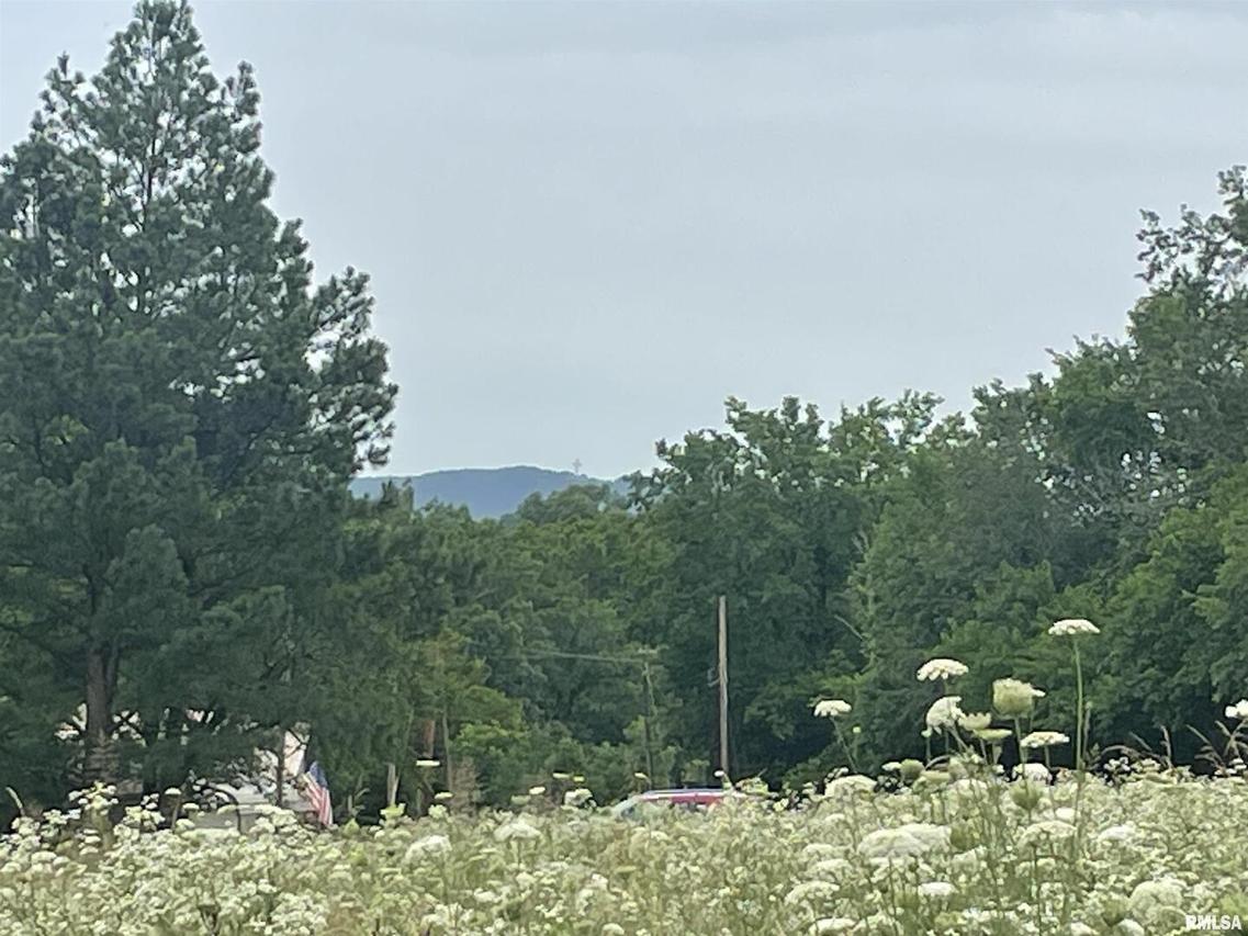 000 Bell Hill Rd., Cobden, IL 62920