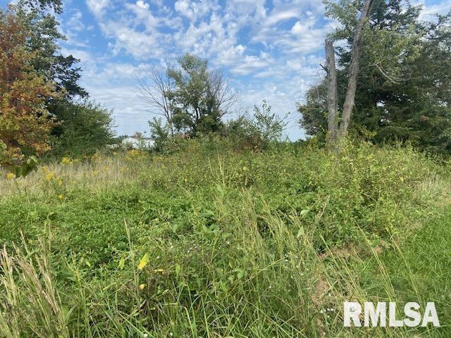 7838 S Stuyvesant St., Benton, IL 62812