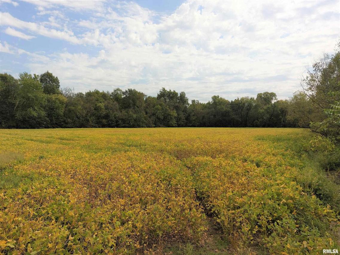 0000 Liberty Rd., Mt Vernon, IL 62864