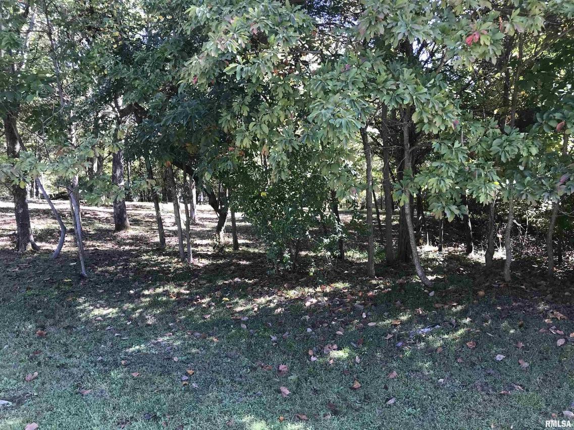 Lot 1031 John Able Dr., Goreville, IL 62939