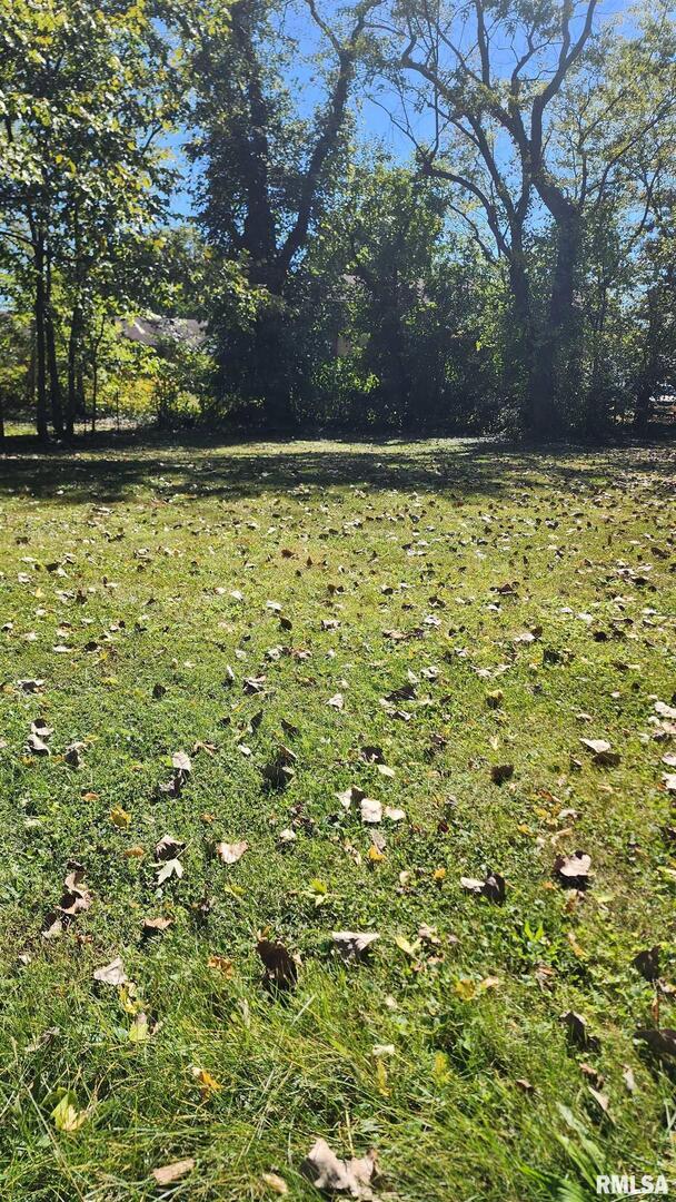 507 E Larch St., Carbondale, IL 62901