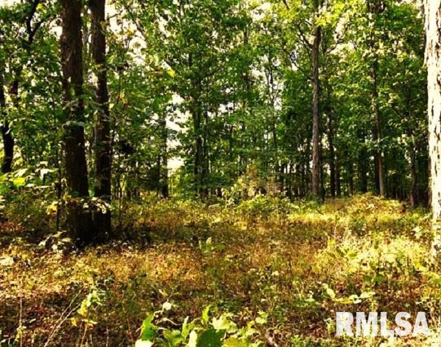 000 Campbells Corner Rd., Mcleansboro, IL 62859