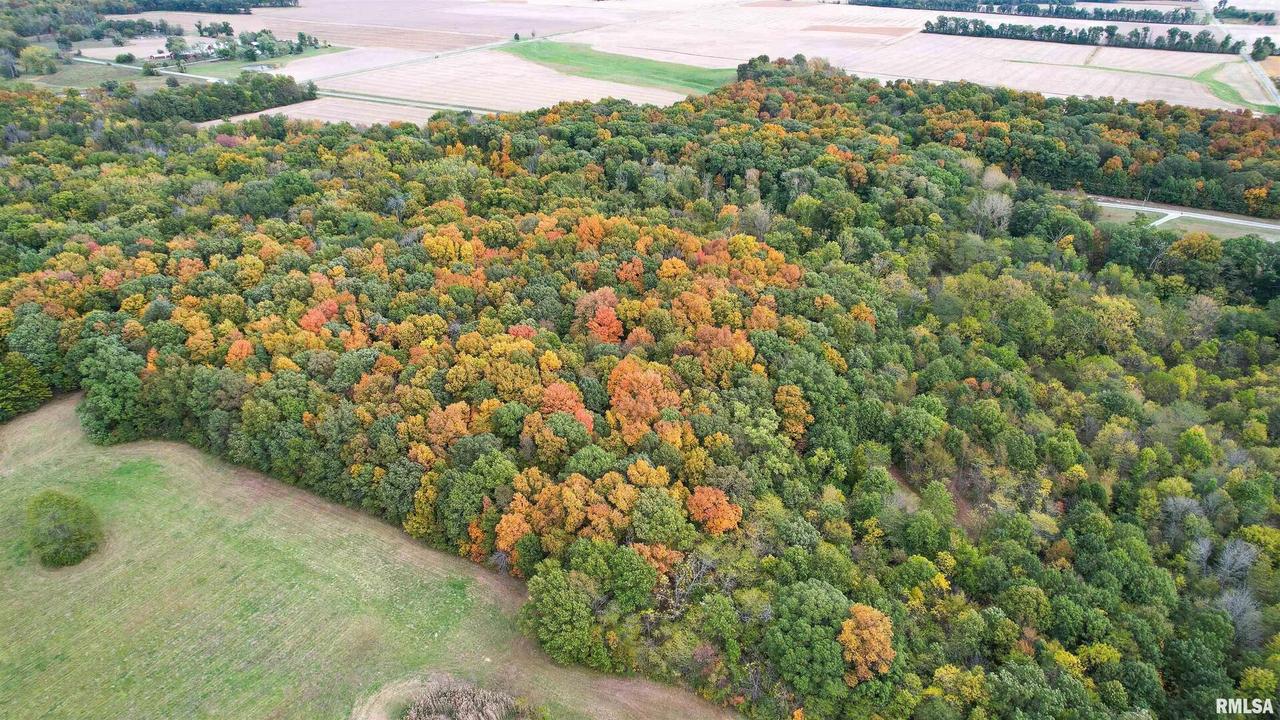 000 Old Bible Grove Rd., Louisville, IL 62858