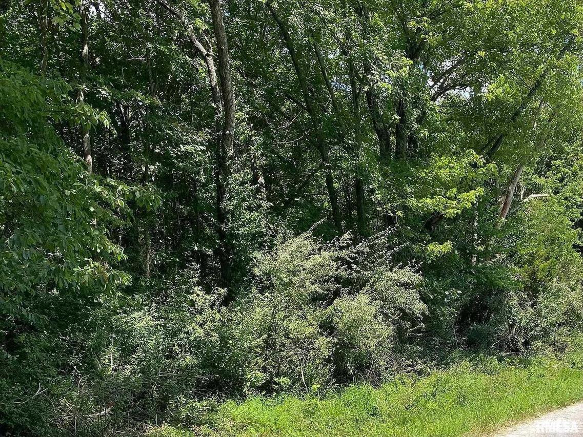 0000 4th St., Bluford, IL 62814