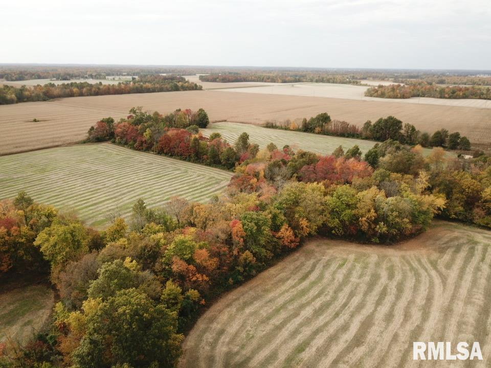 000 E Freesia Rd., Mt Vernon, IL 62865