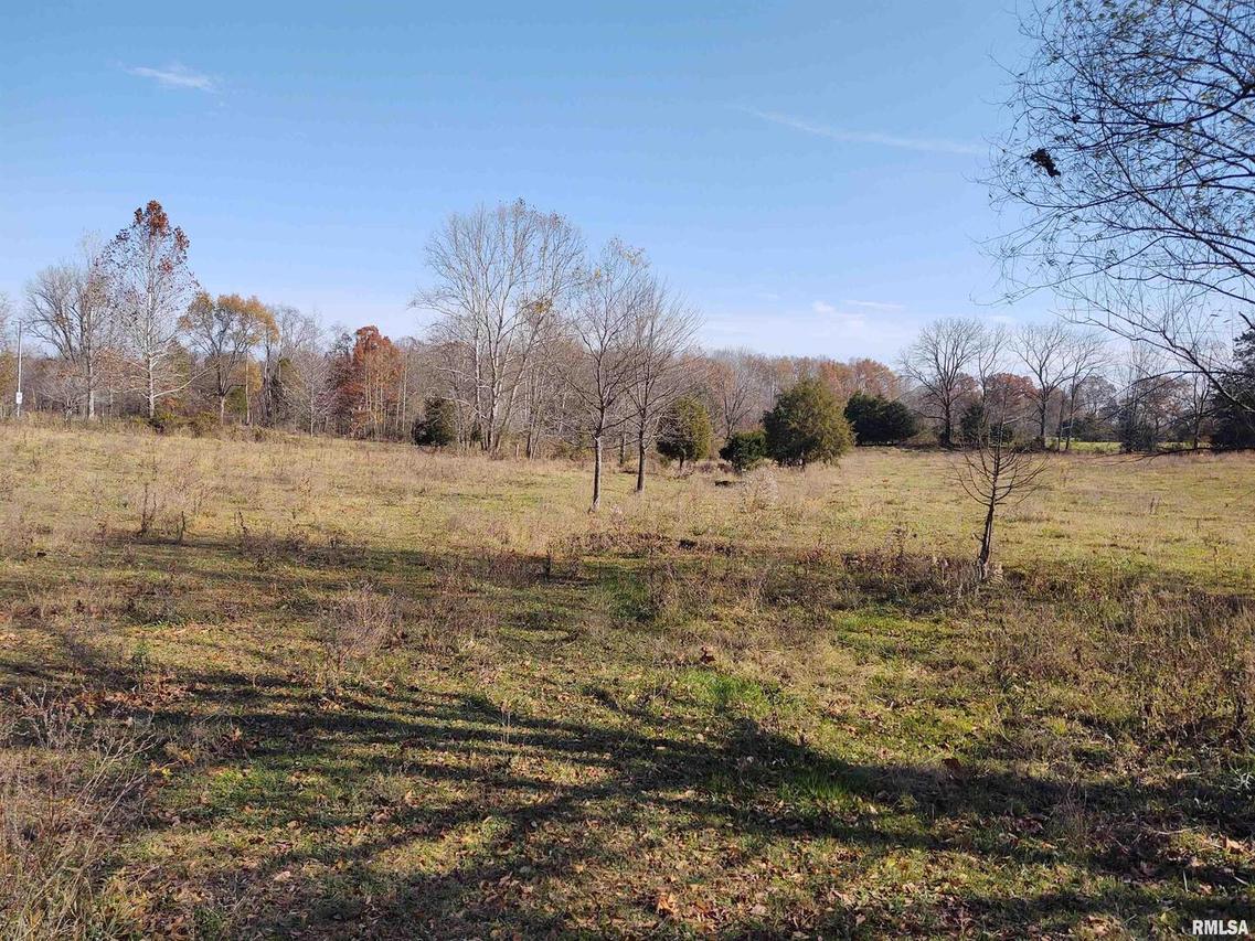 578 Mount Shelter Rd., Vienna, IL 62995