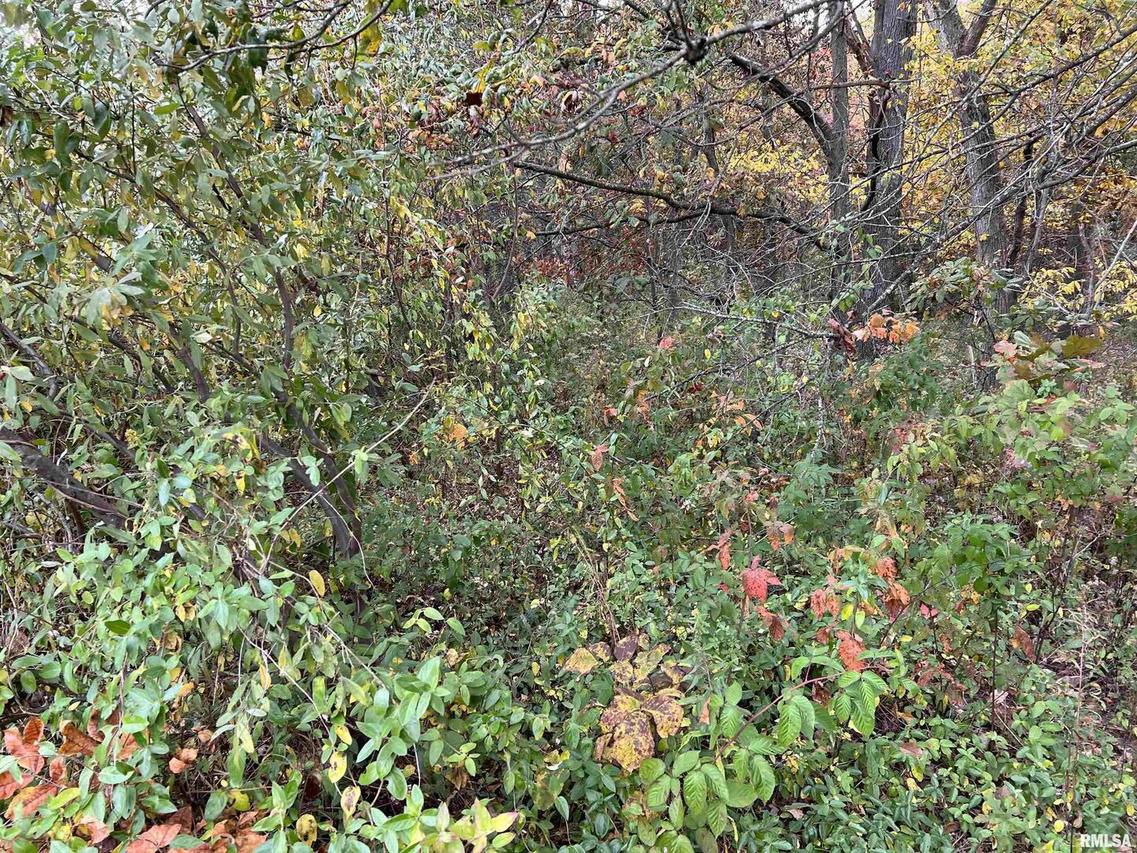 000 Hopkins Hunter Rd., Salem, IL 62881