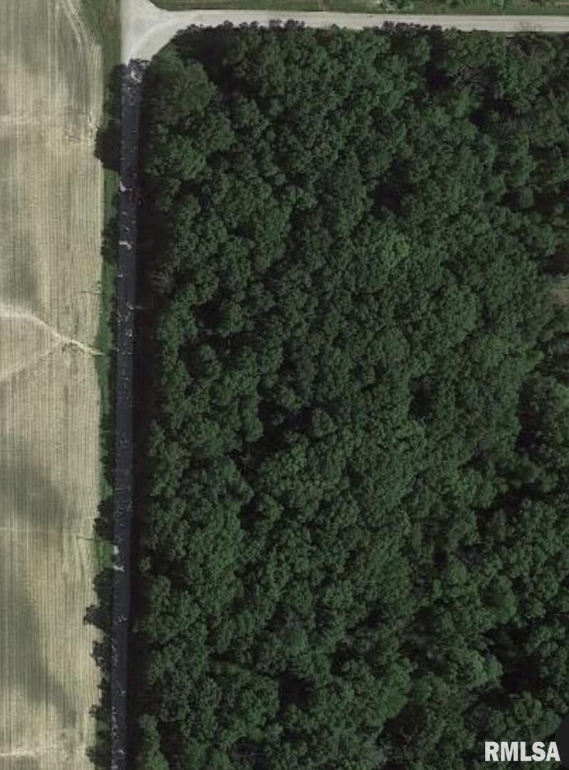 000 Iola Ln., Louisville, IL 62858