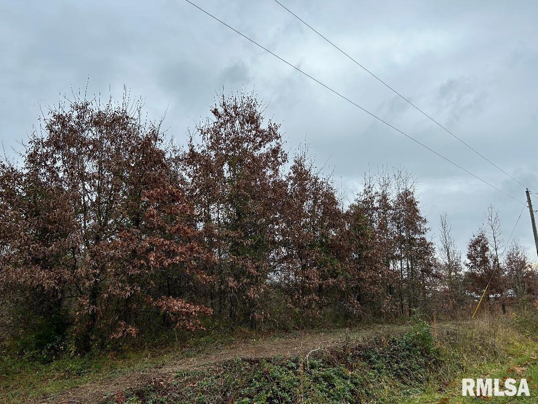 000 Antioch Rd., West Frankfort, IL 62896