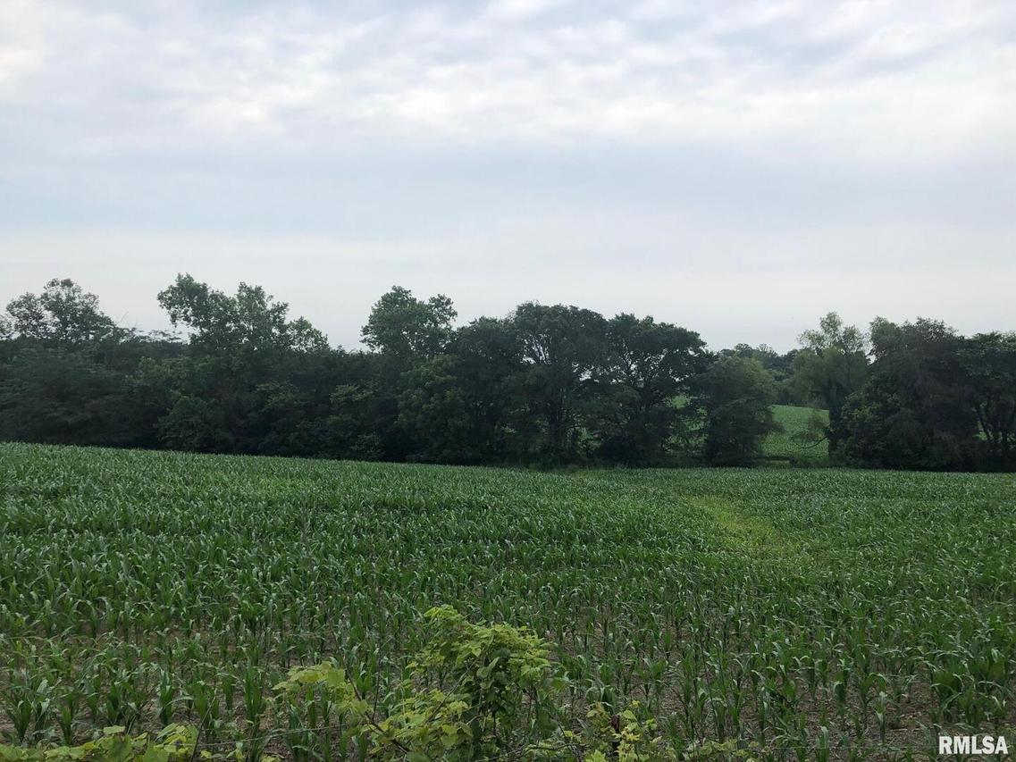 000 Tyler Bridge Rd., Creal Springs, IL 62922