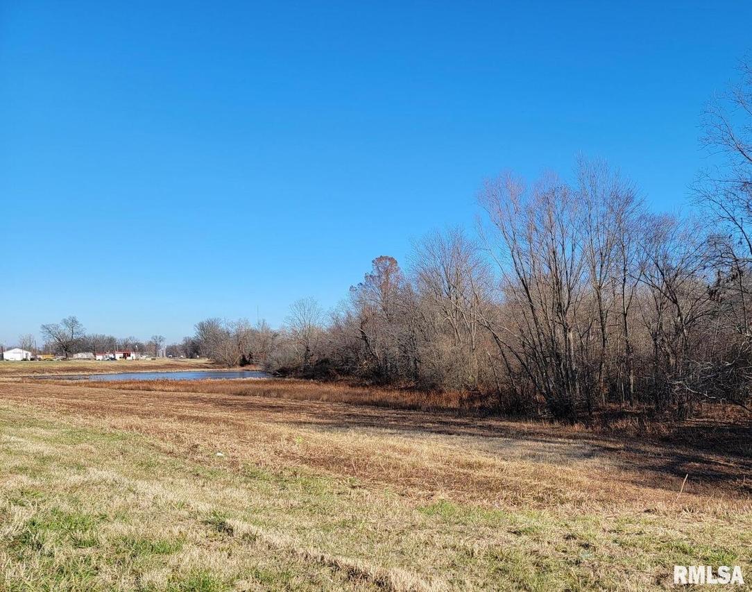 TBD Route 51 Hwy., Cairo, IL 62914