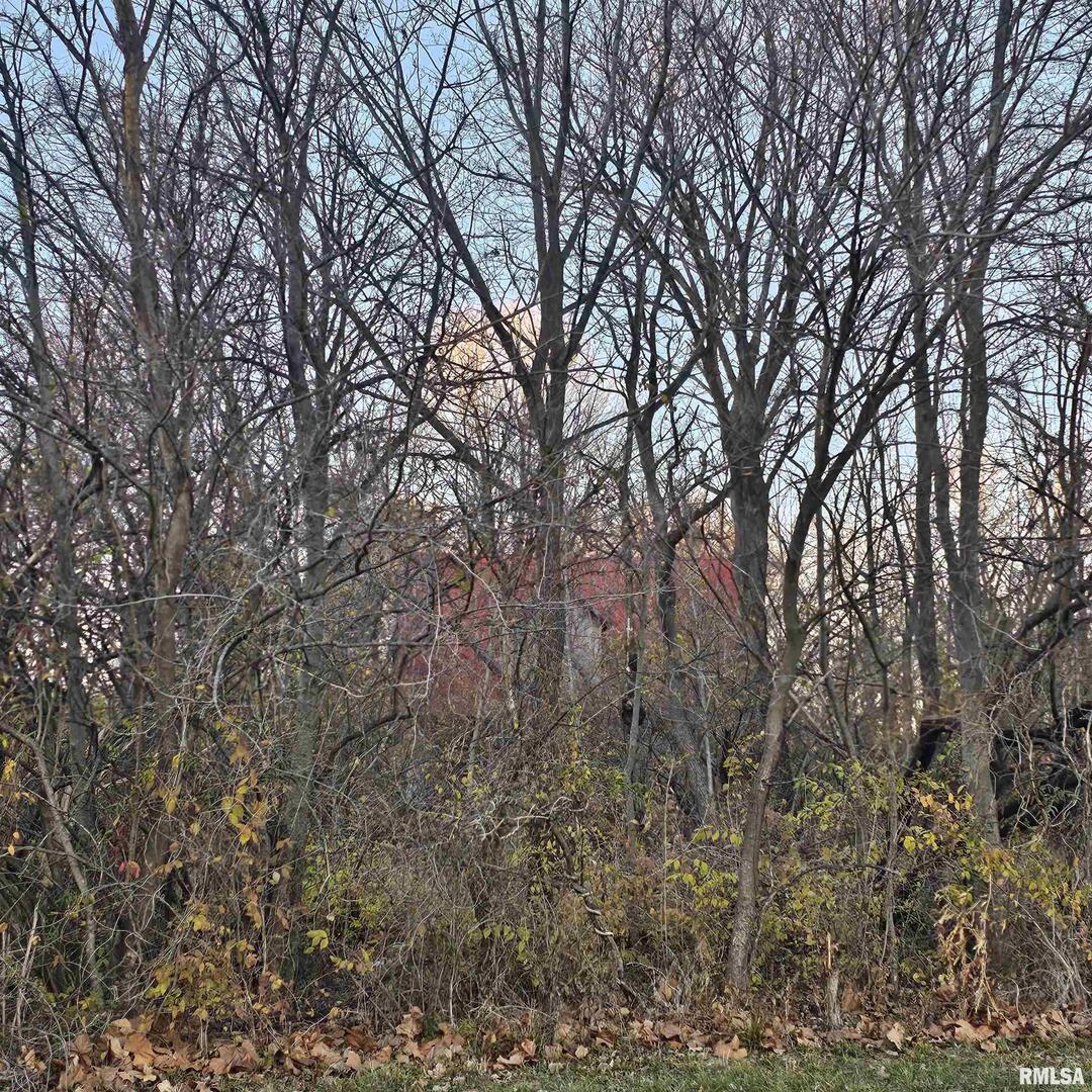 735 Dusty Rd., Eldorado, IL 62930