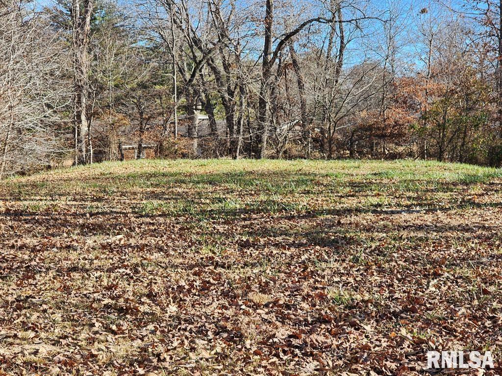 00000 N Illinois Highway 37 Hwy., Mt Vernon, IL 62864