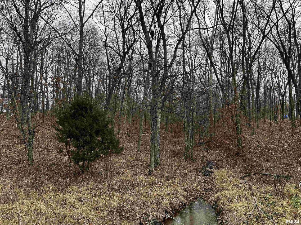 Hickory Ln., Woodlawn, IL 62898