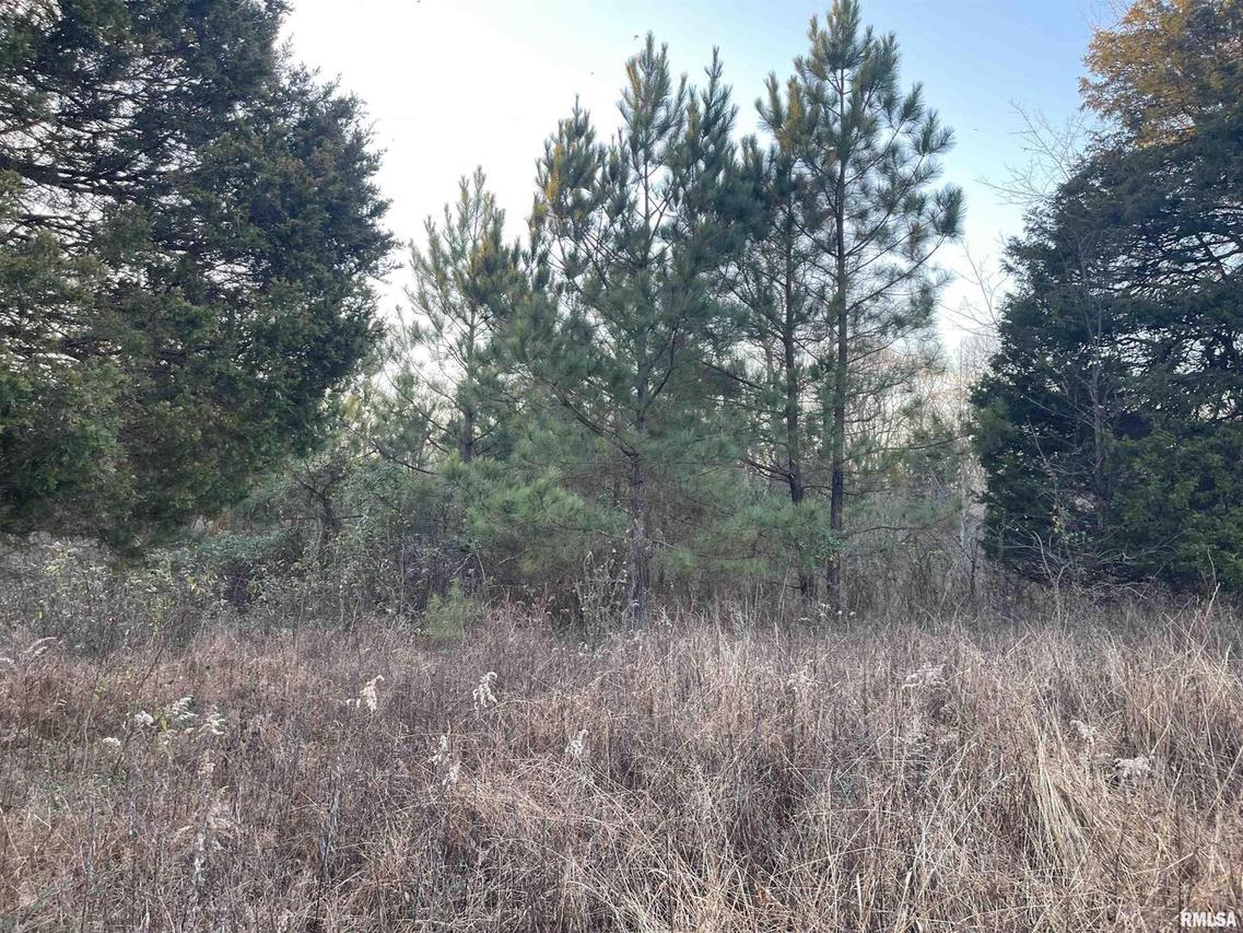 000 Raum Rd., Golconda, IL 62938