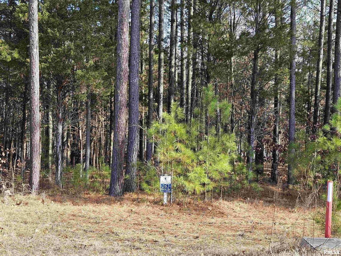 Lot 263 Red Fox Ln., Goreville, IL 62939