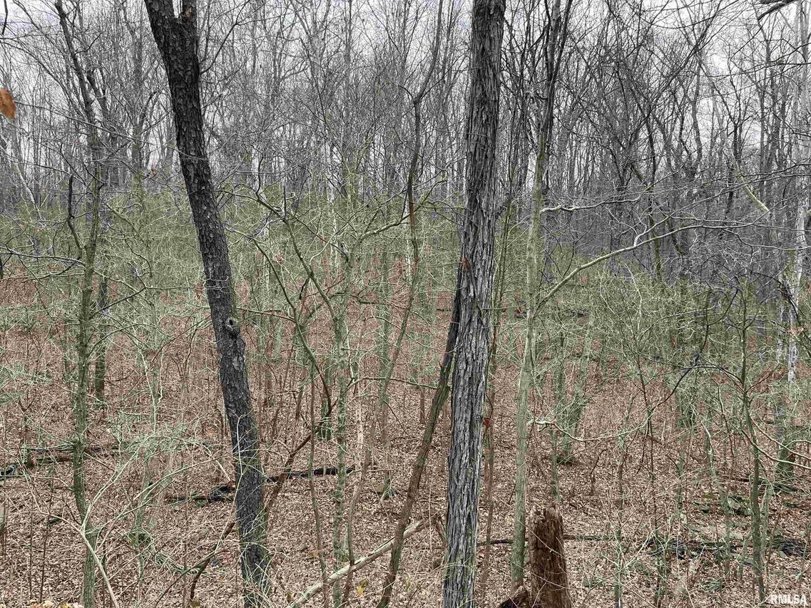 000 Cedar St., Alto Pass, IL 62806